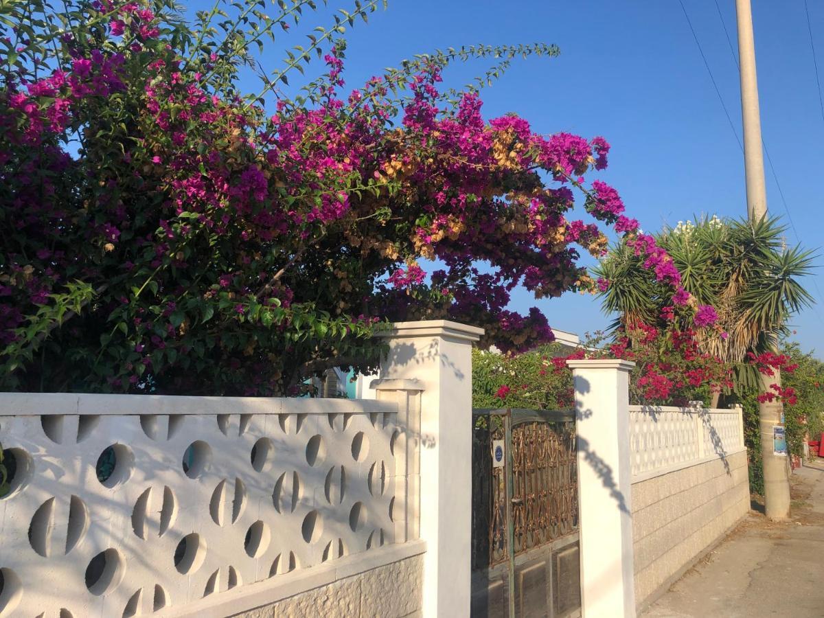 Amaris Mango Seafront Villa Granelli Eksteriør billede